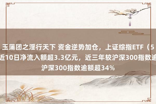 玉蒲团之淫行天下 资金逆势加仓，上证综指ETF（510760）近10日净流入额超3.3亿元，近三年较沪深300指数逾额超34%