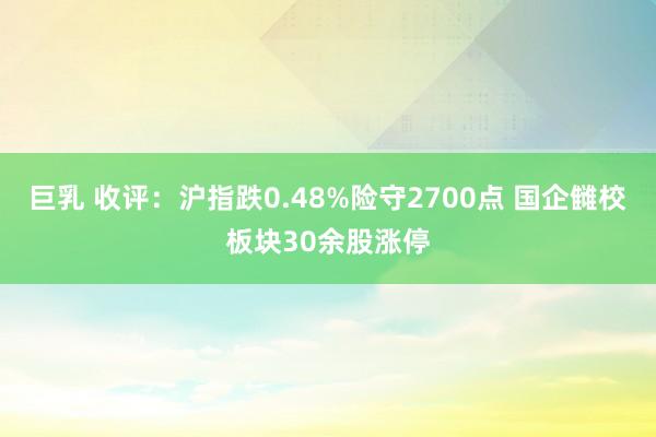 巨乳 收评：沪指跌0.48%险守2700点 国企雠校板块30余股涨停