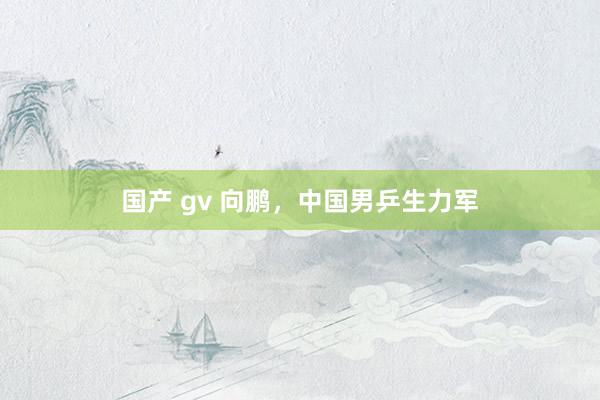 国产 gv 向鹏,中国男乒生力军