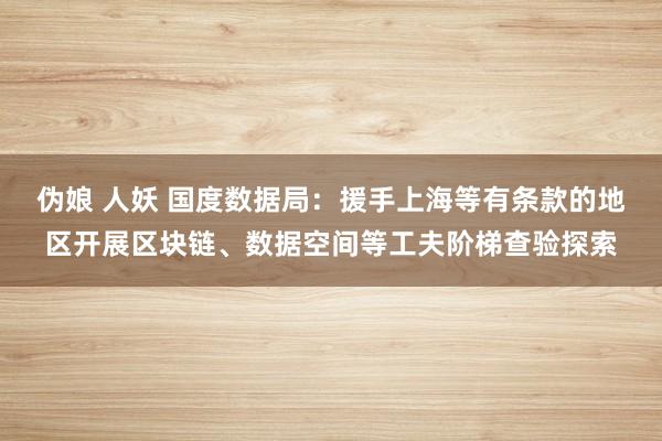 伪娘 人妖 国度数据局：援手上海等有条款的地区开展区块链、数据空间等工夫阶梯查验探索