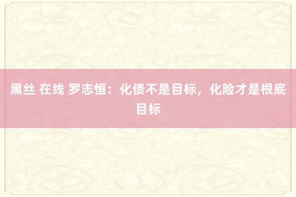 黑丝 在线 罗志恒：化债不是目标，化险才是根底目标