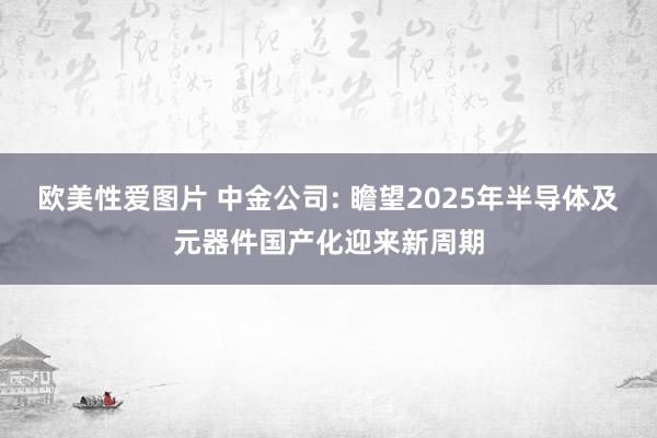 欧美性爱图片 中金公司: 瞻望2025年半导体及元器件国产化迎来新周期