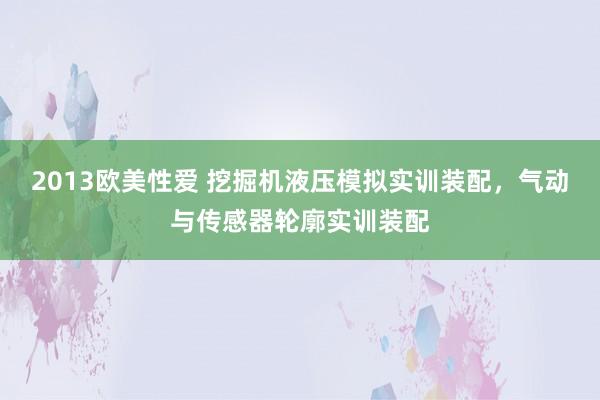 2013欧美性爱 挖掘机液压模拟实训装配，气动与传感器轮廓实训装配