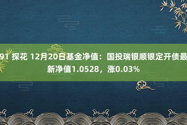 91 探花 12月20日基金净值：国投瑞银顺银定开债最新净值1.0528，涨0.03%