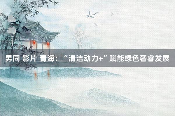 男同 影片 青海：“清洁动力+”赋能绿色奢睿发展