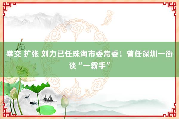 拳交 扩张 刘力已任珠海市委常委！曾任深圳一街谈“一霸手”