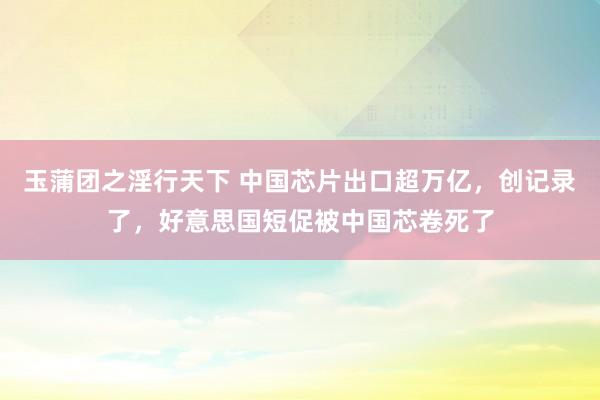 玉蒲团之淫行天下 中国芯片出口超万亿，创记录了，好意思国短促被中国芯卷死了