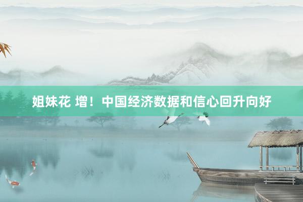 姐妹花 增！中国经济数据和信心回升向好