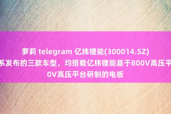 萝莉 telegram 亿纬锂能(300014.SZ)：小鹏P7+全系发布的三款车型，均搭载亿纬锂能基于800V高压平台研制的电板