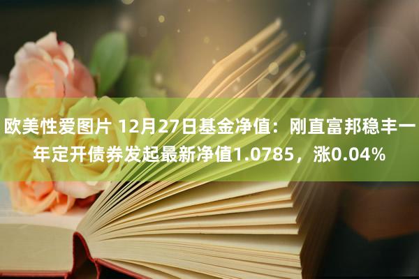 欧美性爱图片 12月27日基金净值：刚直富邦稳丰一年定开债券发起最新净值1.0785，涨0.04%