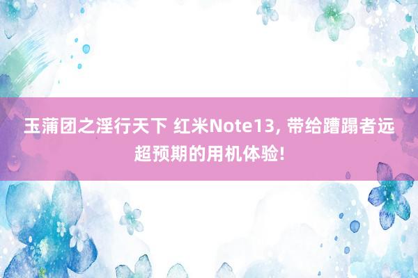 玉蒲团之淫行天下 红米Note13， 带给蹧蹋者远超预期的用机体验!