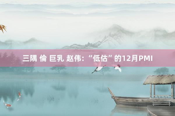 三隅 倫 巨乳 赵伟: “低估”的12月PMI