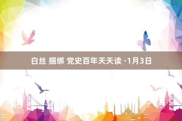 白丝 捆绑 党史百年天天读 ·1月3日