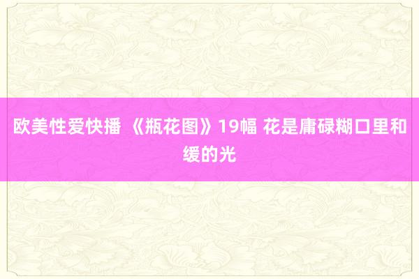 欧美性爱快播 《瓶花图》19幅 花是庸碌糊口里和缓的光
