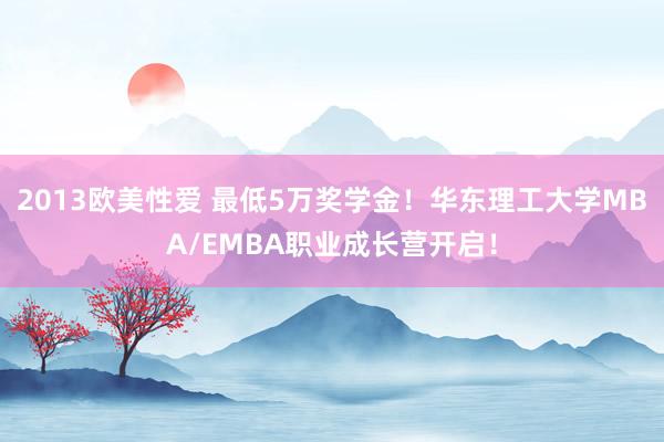 2013欧美性爱 最低5万奖学金！华东理工大学MBA/EMBA职业成长营开启！