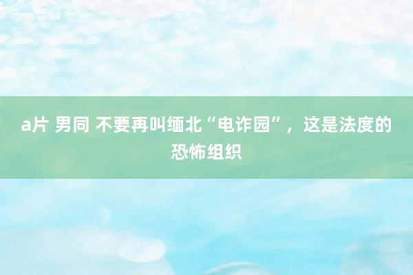 a片 男同 不要再叫缅北“电诈园”，这是法度的恐怖组织