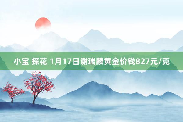 小宝 探花 1月17日谢瑞麟黄金价钱827元/克
