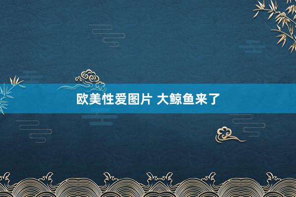 欧美性爱图片 大鲸鱼来了
