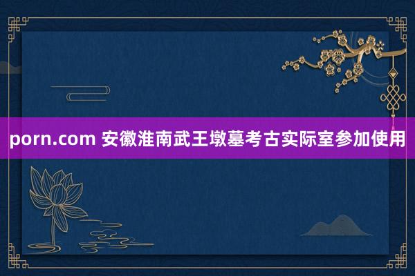 porn.com 安徽淮南武王墩墓考古实际室参加使用
