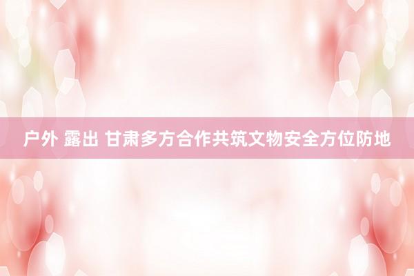 户外 露出 甘肃多方合作共筑文物安全方位防地