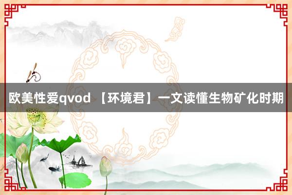 欧美性爱qvod 【环境君】一文读懂生物矿化时期
