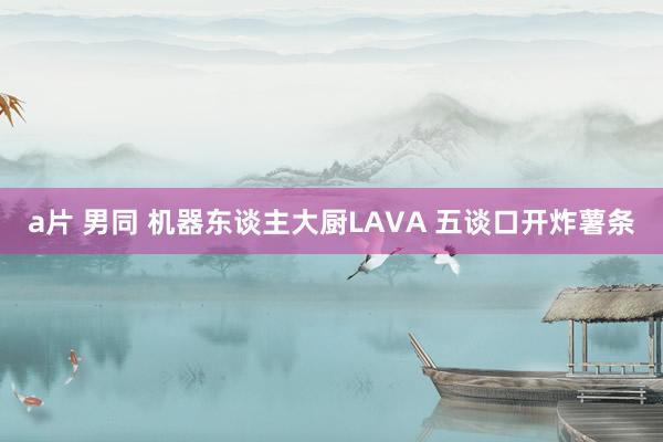 a片 男同 机器东谈主大厨LAVA 五谈口开炸薯条