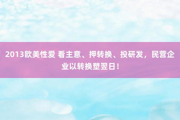 2013欧美性爱 看主意、押转换、投研发，民营企业以转换塑翌日！