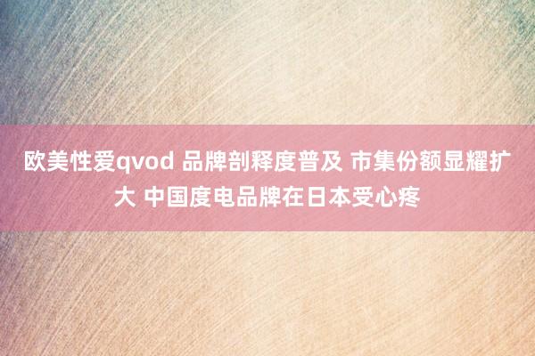 欧美性爱qvod 品牌剖释度普及 市集份额显耀扩大 中国度电品牌在日本受心疼