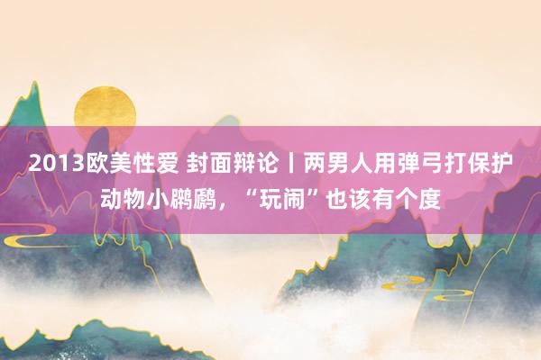2013欧美性爱 封面辩论丨两男人用弹弓打保护动物小䴙䴘，“玩闹”也该有个度