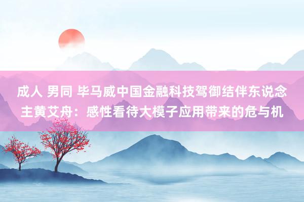 成人 男同 毕马威中国金融科技驾御结伴东说念主黄艾舟：感性看待大模子应用带来的危与机