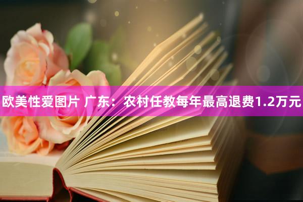 欧美性爱图片 广东：农村任教每年最高退费1.2万元