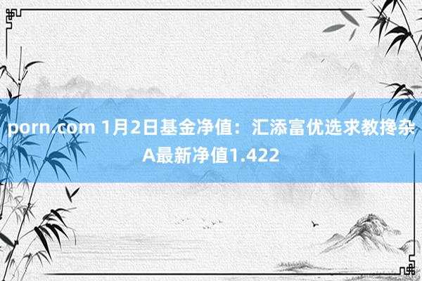 porn.com 1月2日基金净值：汇添富优选求教搀杂A最新净值1.422