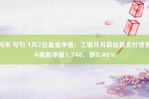 阿朱 勾引 1月2日基金净值：工银月月薪如期支付债券A最新净值1.746，跌0.46%