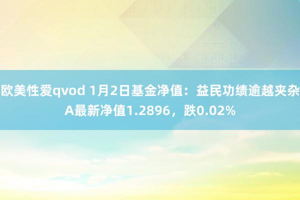欧美性爱qvod 1月2日基金净值：益民功绩逾越夹杂A最新净值1.2896，跌0.02%