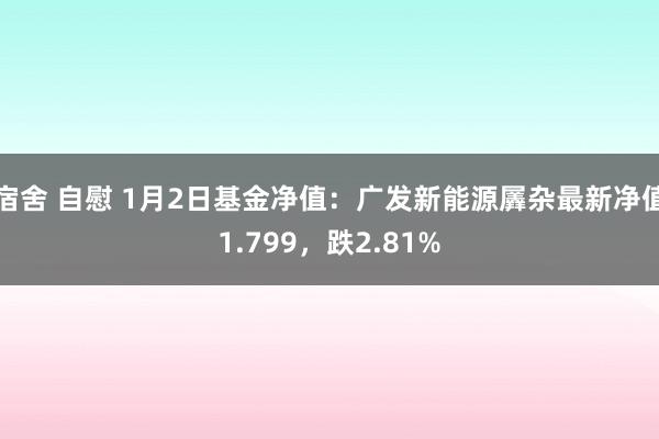 宿舍 自慰 1月2日基金净值：广发新能源羼杂最新净值1.799，跌2.81%