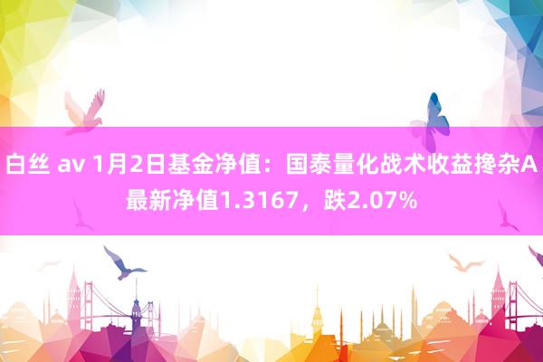 白丝 av 1月2日基金净值：国泰量化战术收益搀杂A最新净值1.3167，跌2.07%