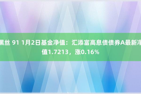 黑丝 91 1月2日基金净值：汇添富高息债债券A最新净值1.7213，涨0.16%