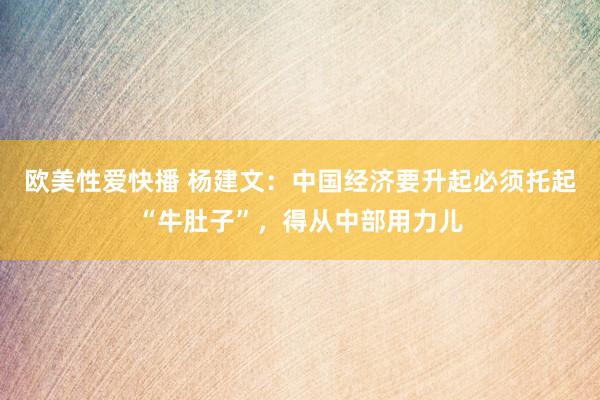 欧美性爱快播 杨建文：中国经济要升起必须托起“牛肚子”，得从中部用力儿
