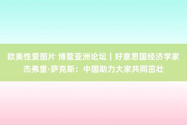 欧美性爱图片 博鳌亚洲论坛｜好意思国经济学家杰弗里·萨克斯：中国助力大家共同茁壮