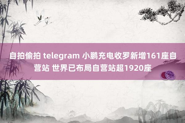 自拍偷拍 telegram 小鹏充电收罗新增161座自营站 世界已布局自营站超1920座