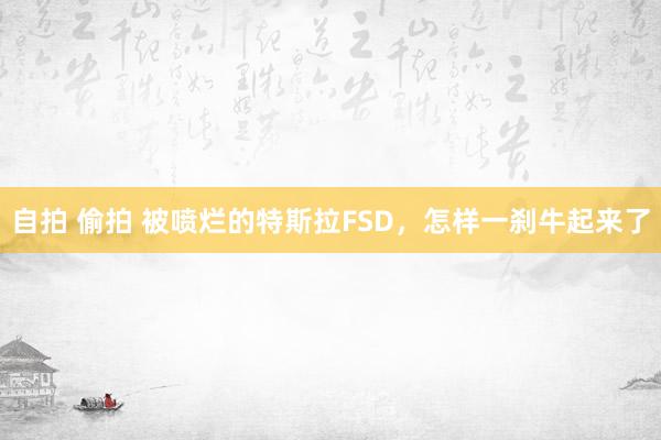 自拍 偷拍 被喷烂的特斯拉FSD，怎样一刹牛起来了