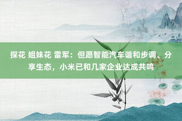 探花 姐妹花 雷军：但愿智能汽车谐和步调、分享生态，小米已和几家企业达成共鸣