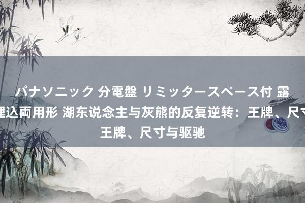 パナソニック 分電盤 リミッタースペース付 露出・半埋込両用形 湖东说念主与灰熊的反复逆转：王牌、尺寸与驱驰