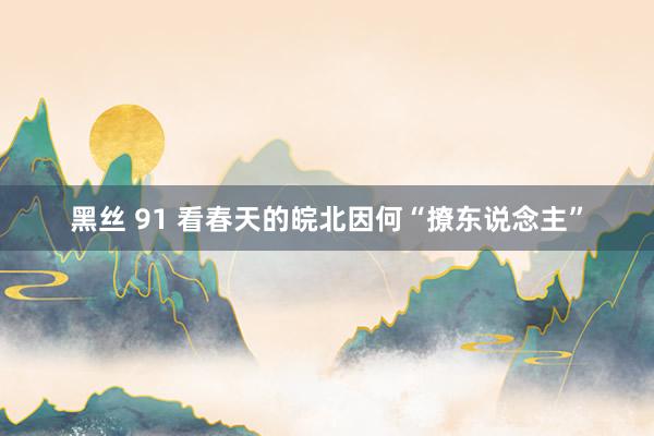 黑丝 91 看春天的皖北因何“撩东说念主”