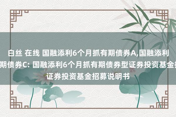 白丝 在线 国融添利6个月抓有期债券A,国融添利6个月抓有期债券C: 国融添利6个月抓有期债券型证券投资基金招募说明书