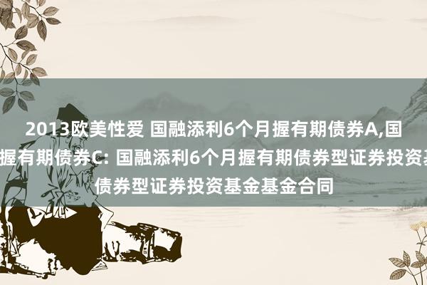 2013欧美性爱 国融添利6个月握有期债券A,国融添利6个月握有期债券C: 国融添利6个月握有期债券型证券投资基金基金合同