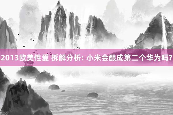 2013欧美性爱 拆解分析: 小米会酿成第二个华为吗?