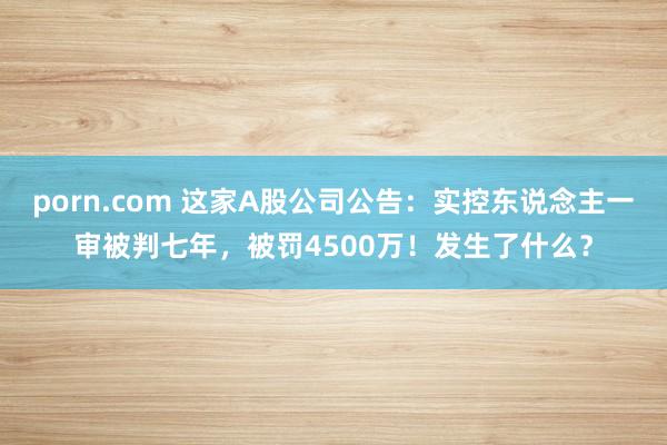 porn.com 这家A股公司公告：实控东说念主一审被判七年，被罚4500万！发生了什么？