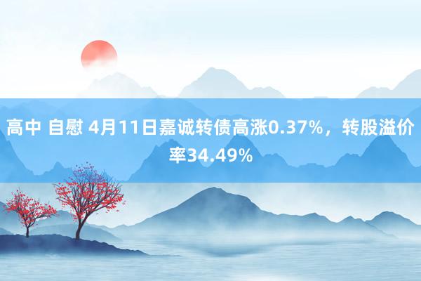 高中 自慰 4月11日嘉诚转债高涨0.37%，转股溢价率34.49%