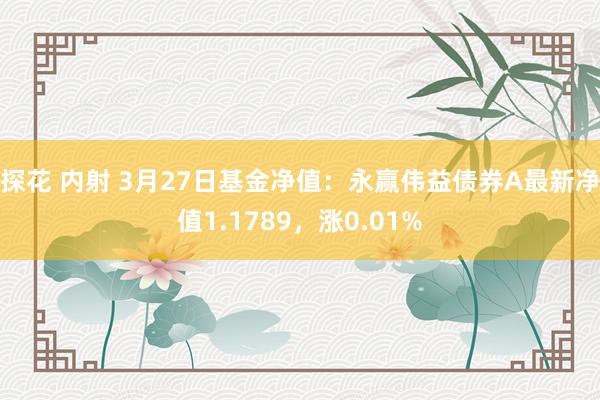 探花 内射 3月27日基金净值：永赢伟益债券A最新净值1.1789，涨0.01%